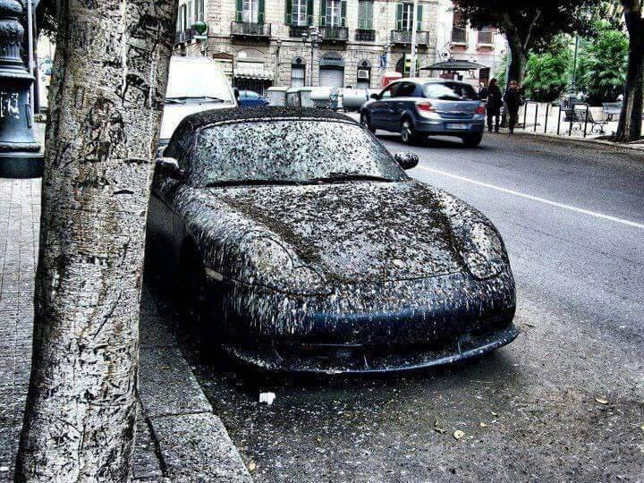 Unfortunate Situations (17 pics)
