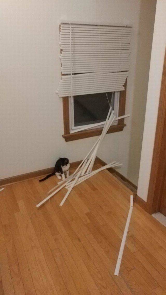 Unfortunate Situations (17 pics)