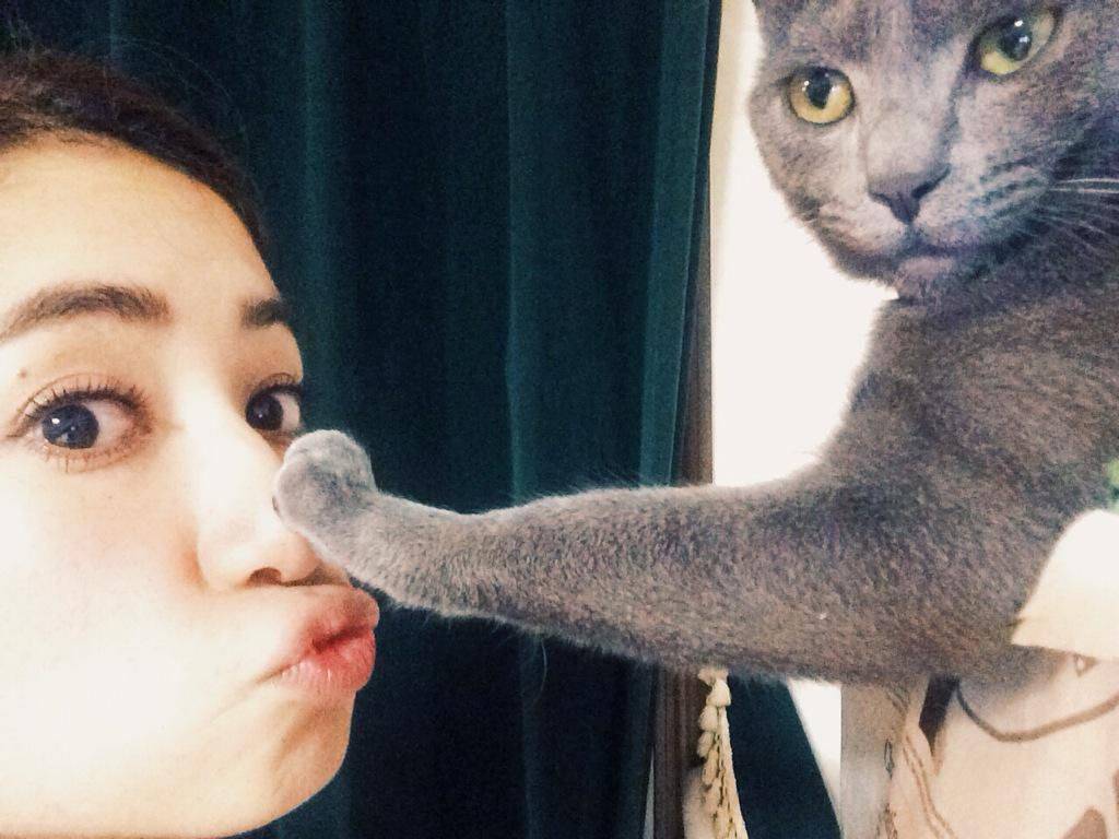 Daily Pictures. Part 2 (86 pics)
