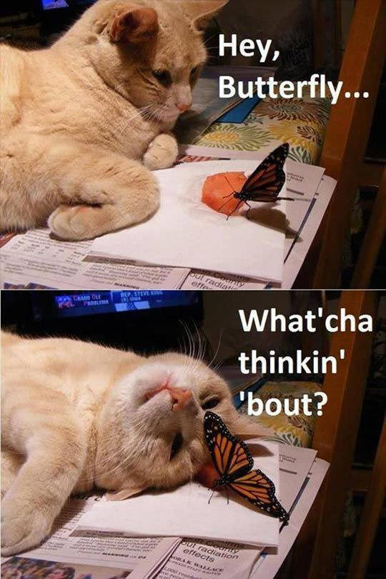 Daily Pictures. Part 2 (86 pics)