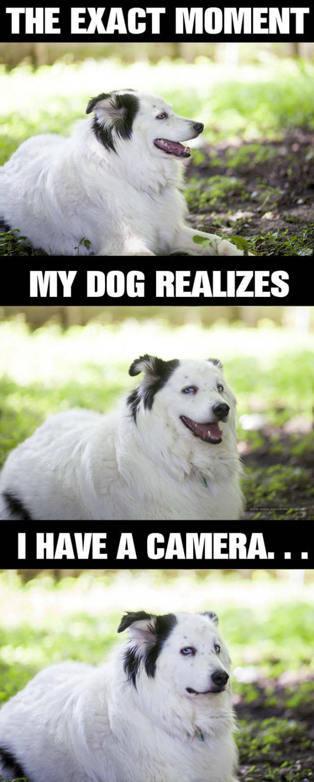 Daily Pictures. Part 2 (86 pics)
