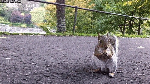 Acid GIFs, October 1 (25 gifs) Acid GIFs, October 1 (25 gifs)