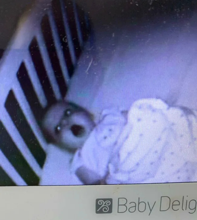 Creepy Photos (17 pics)