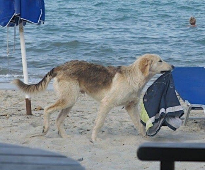 Unfortunate Situations (19 pics)