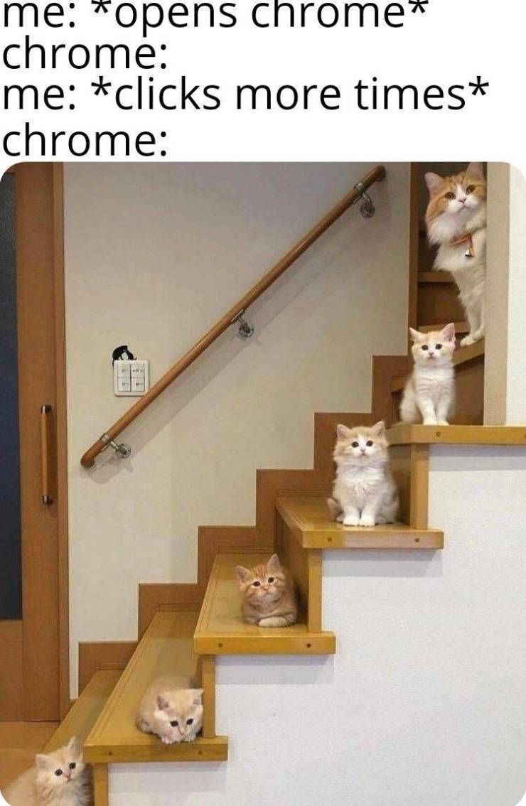 Daily Pictures. Part 2 (84 pics)