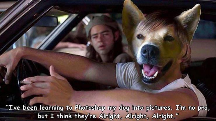 Daily Pictures. Part 2 (84 pics)