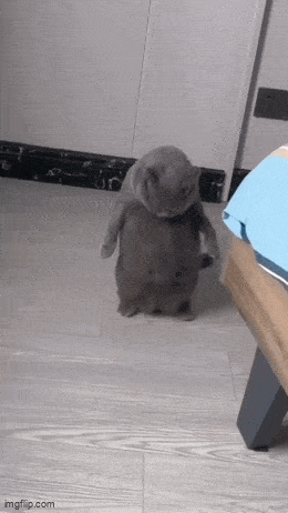 Acid GIFs, October 2 (25 gifs)
