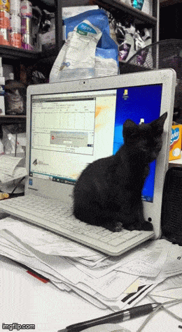 Acid GIFs, October 2 (25 gifs)