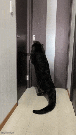 Acid GIFs, October 2 (25 gifs)